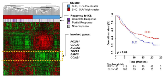 PET CT 수치인 SUV (standardized uptake value)와 유전자 발현 분석을 통한 면역항암치료 연관성 규명(Genomic Signature of the Standardized Uptake Value in 18F-Fluorodeoxyglucose Positron Emission Tomography in Breast Cancers 2020)