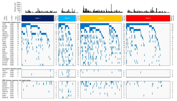 각 subtype 별 TMB (Tumor Mutation Burden) 분석결과. 면역항암치료에 반응이 높은 subtype에 돌연변이 비율이 높음