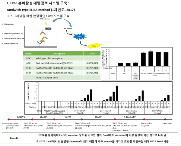 ExoS sandwich-type ELISA system 구축 및 test