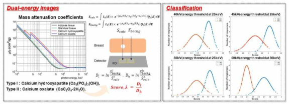 이중에너지 영상을 이용하여 악성과 양성의 미세석회화 분류 가능성을 평가
