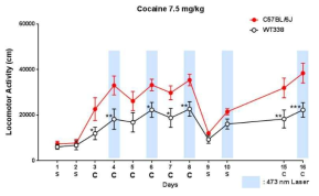 Optogenetic cocaine sensitization