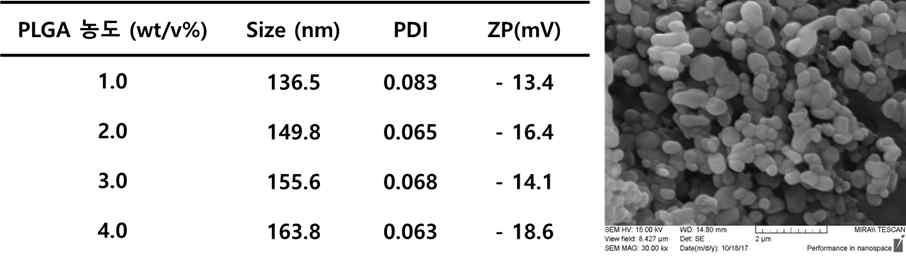 PLGA 농도에 따른 나노입자의 물리화학적 분석 및 전자현미경 사진