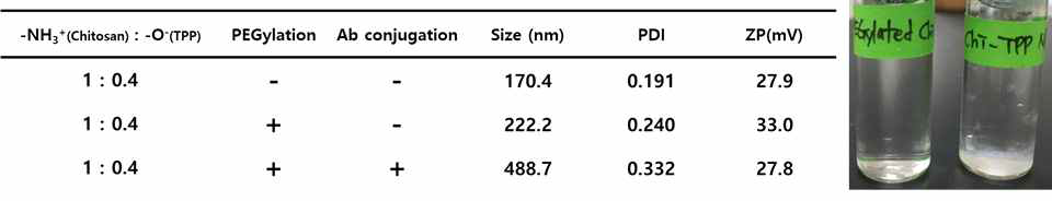 키토산 나노입자의 물리화학적 분석 및 PEG 탑재 유무에 따른 나노입자의 분산도