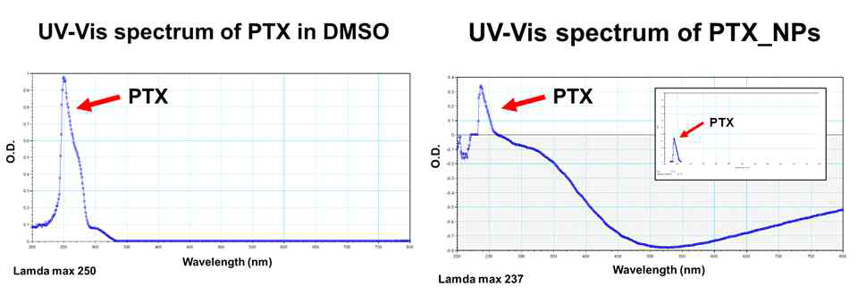 PLGA 나노입자에 담지된 PTX를 UV-Vis spectrum을 이용하여 확인