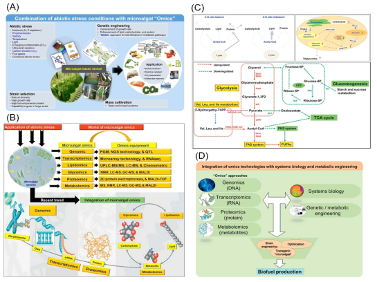 Overview of applied microalgal ‘Omics’ under abiotic stress conditions for the improvement of biofuel production (A), relationship of major ‘Microalgal Omics’ technologies, their equivalent analysis targets, and assessment methods (B), integrated cell mechanisms leading to enhanced lipid production in the dark (C), illustration of integrative research among Omics approaches, systems biology, and the genetic engineering approach for optimization of microalgae for biofuel production (D)