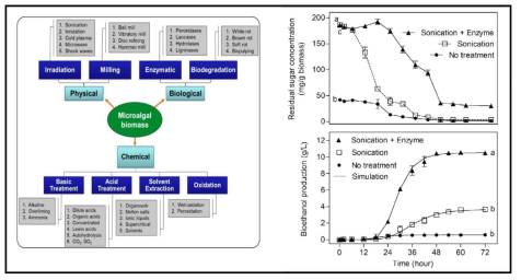 Physical, chemical, and biological pretreatment methods, and residual sugar concentration and cumulative bio-ethanol production during ultrasonication with enzyme pretreatment