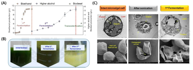 Biofuels production (A) and photographic image of microalgal before and after fermentation fermentation (C)