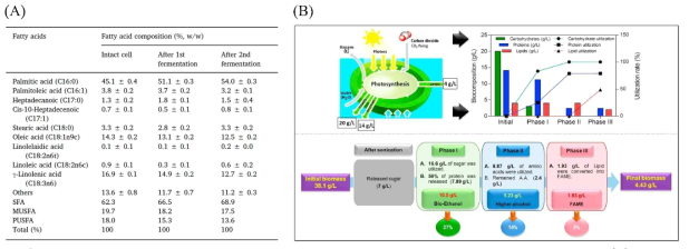 Fatty acid composition of the microalgal during the serial fermentation processes (A). Mass balance of the microalgal during sequential utilization of carbohydrates (for bioethanol production), proteins (for higher alcohol production), and lipids (for biodiesel production) (B)