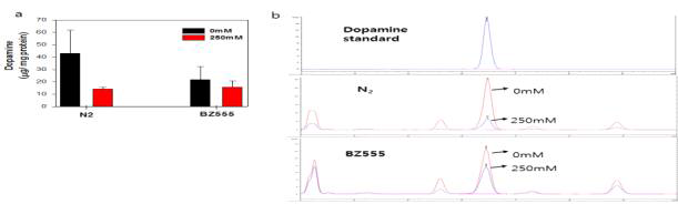 (a) 고 포도당 식이에 의한 체내 도파민 함량 감소의 정량 분석과 (b) HPLC peak