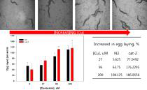 24시간(1일)동안 CuNP에 노출에 따른 N2와 cat-2 종의 생식 기능 향상