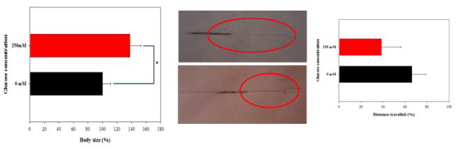 (a) 미세유체 칩 분석에서 250mM 포도당에 노출 24시간 후 개체의 크기 증가 (b) 미세유체칩 분석에서 250mM 포도당 노출 24시간 후 짧아진 이동 거리