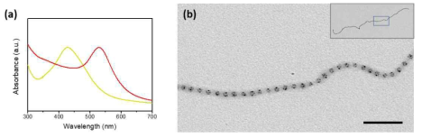 (a) 나노입자로 기능화된 초구조 고분자의 UV-Vis 스펙트럼: (적색) Au 나노입자; (황색) Ag 나노입자; (b) 중합후 개질 방법으로 합성된 Ag 나노입자로 기능화된 초구조 고분자의 TEM 이미지 (스케일 바=100 nm)