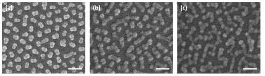 서로 다른 간격으로 코팅된 구형 마이셀에서 유도된 패치 마이셀의 SEM 이미지: (a) 65 nm; (b) 60 nm; (c) 55 nm (스케일 바=100 nm)