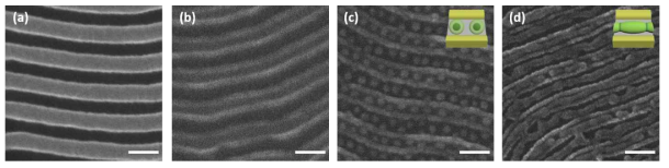 나노패턴 및 코팅된 마이셀의 SEM 이미지: (a) PS-b-PMMA에서 PMMA가 제거된 PS 나노 패턴; (b) ZnO 나노패턴: (c) 구형 마이셀; (d) 패치 마이셀 (스케일 바=100 nm)