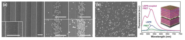 (a) 유도 자기조립된 PS-b-PMMA 나노패턴에 의한 Au 나노막대의 배향 제어; (b) 적층구조에서 형광체와 플라즈몬 Ag 나노입자 간 상호작용에 의한 발광 증폭 (스케일 바=500 nm)