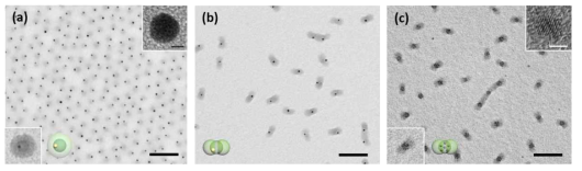 TEM 이미지: (a) Au 나노입자가 합성된 구형 마이셀; (b) Au 나노입자가 합성된 패치 마이셀; (c) Ag 나노입자가 합성된 패치 마이셀 (스케일 바=100 nm)