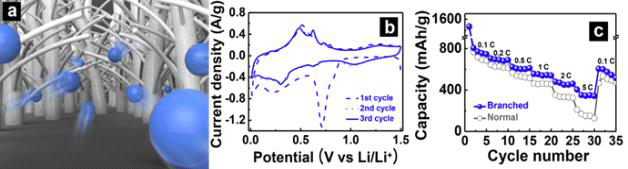 (a) 가지형 수직배향 SnO2 나노구조의　리튬이온전지 전극반응 모식도 및 (b) 순환전류전압법 분석, (c) 방전 용량 특성