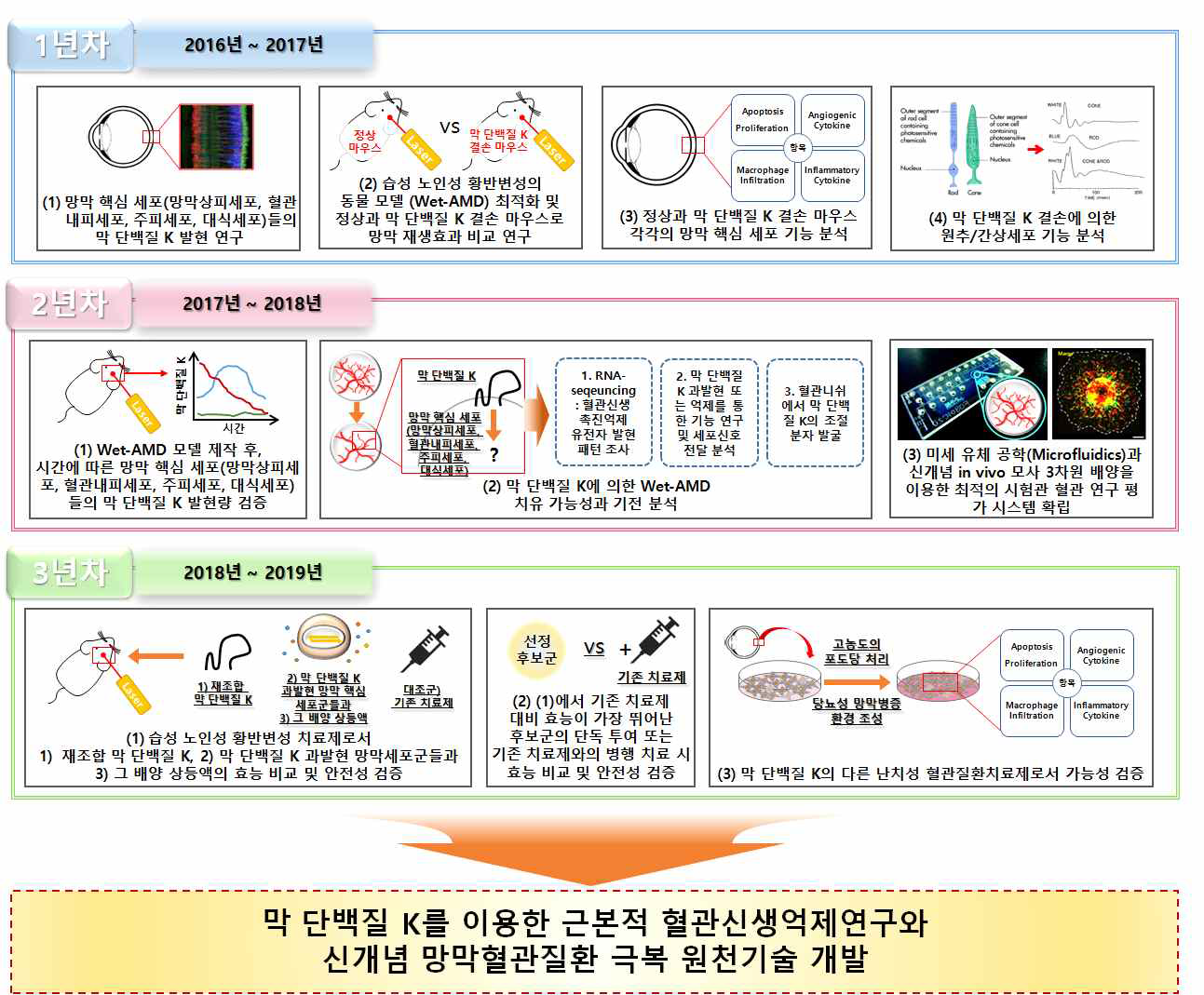 최초 협약용 계획서의 연구수행 내용 모식도 Source: ClinicalTrials, 검색어: Age-related Macular Degeneration (검색날짜: 2016년 2월 23일)