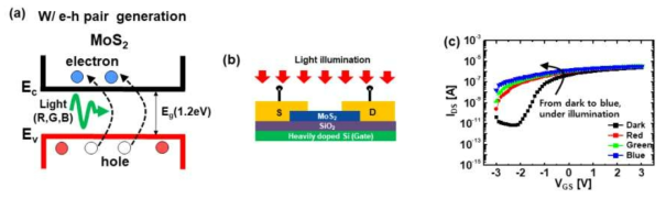 (a) 적, 녹, 청색의 조명하에서 에너지 밴드 다이어그램을 이용한 전자-홀 발생 메커니즘 분석 (b) 다층 MoS2 전자소자의 단면도 (c) 빛 조명 하에서 파장에 따른 MoS2 전자소자의 전기적 특성