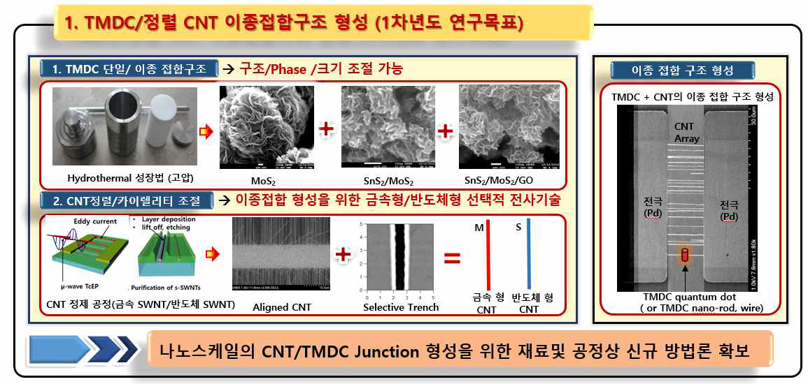 TMDC 및 정렬 CNT기반의 이종 접합 구조 형성을 위한 신규 방법론 개발/최적화
