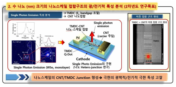 TMDC-CNT 이종접합구조 기반 나노스케일의 광학적/전기적 특성 분석