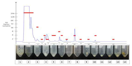 Taste dilution (TD)-factors and prep-HPLC chromatogram of ultrafiltration-fraction UF5(< 1 kDa) isolated from fermented soybean sample