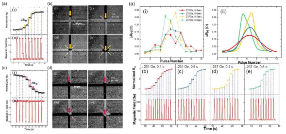SHC의 DW 위치와 관련된 LTP 및 LTD 프로세스. (a) UD-DW 모션으로 증가하는 동안 멀티 레벨. (b) Kerr 현미경으로 관찰한 LTP 프로세스와 관련된 UD-DW 동작 이미지 (c) LTD 프로세스인 DU-DW 모션. 멀티 레벨에 따라 감소한다. (d) SHC를 통과하는 DU-DW의 이미지. 펄스 수에 따른 ΔRH의 변화 (a-i) 일련의 자기장 펄스에서 두 매개 변수 (강도, 지속 시간)는 DW가 SHC를 통과 할 때 ΔRH에 영향을 미친다. 피크의 정량 분석은 (ii) Gaussian 피팅을 사용하였다. ΔRH의 모양은 대칭(빨강, 파랑) 및 비대칭(노랑, 초록)으로 분류된다. (b-e) 각각의 펄스열에 따른 ΔRH 변화는 ΔRH 변화에서 다른 레벨의 수를 보여준다. 각 펄스열의 펄스 조건은 (b) 강도 +231Oe, 지속 시간 0.4초, (c) +231Oe, 0.6초, (d) +237Oe, 0.5초 및 (e) +237Oe, 0.6초이다