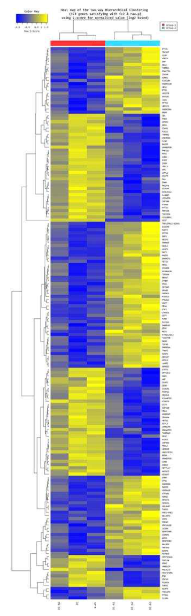 RNA sequencing 결과