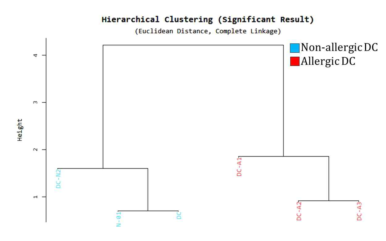 수지상 세포의 hierarchial clustering
