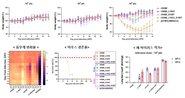 rH5N8과 rH5N8 돌연변이(L145S, A149T, L145S/A149T) 주의 병원성 분석