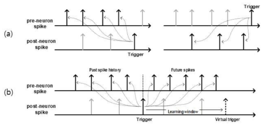 (a) Conventional한 방식의 LTP,LTD를 위한 Spike 참조 방식 (b) PR-STDP에서 Spike 참조방식