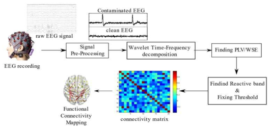 Overall work flow of approaches application to Dementia data