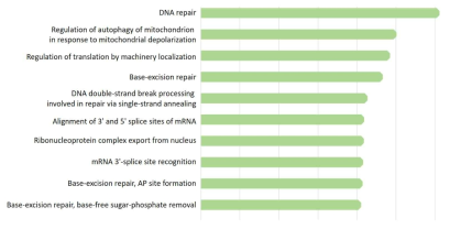 Gene ontology 분석 결과