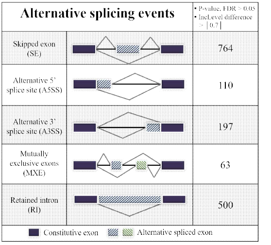 rMATS를 이용한 RNA alternative splicing 분석
