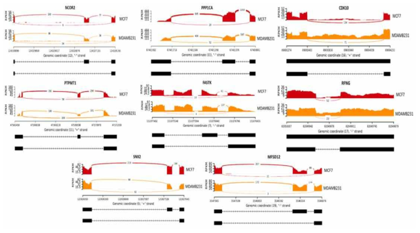 암 전이 특이적 RNA alternative splicing 확인을 위한 sashimi plot