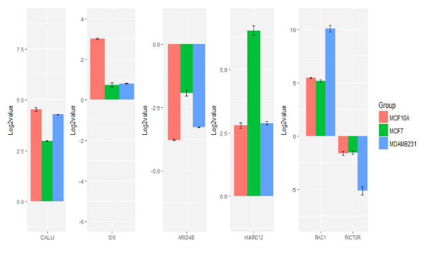 특정 cell line에서만 암 전이 특이적 RNA alternative splicing이 변화 있는 그룹의 bar plot