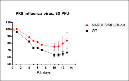 PR8 virus 감염 후 마우스 몸무게 변화 비교