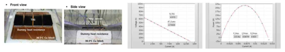 융합소자용 열전소자 개발 및 특성 분석