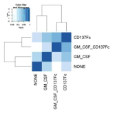 CD137-Fc와 GM-CSF 조합을 처리한 BMDM의 처리그룹 간의 correlation heatmap 분석