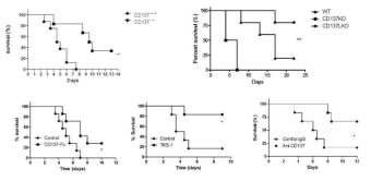 CD137-CD137L 상호작용을 차단하면 Candida albicans 전신 감염에 대한 숙주의 생존율이 증가함