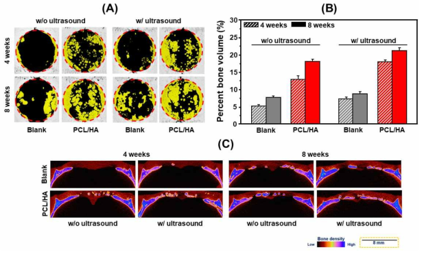 Micro-CT를 통해 관찰한 4주 및 8주 후의 골 재생능 분석 결과. (A) Bone surface, (B) Percent bone volume, (C) Bone density