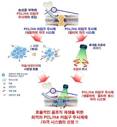 본 과제에서 제안하는, PCL/HA 하이브리드 미립구 주사제/자극시스템 도입에 의한 손상 골 치료 모식도 [생리활성물질 탑재 PCL/HA 하이브리드 미립구 주사제로부터 생물학적 자극 (약물/성장인자)의 서방형 방출과 물리적 자극(초음파)으로 손상된 골 조직 재생 유도]