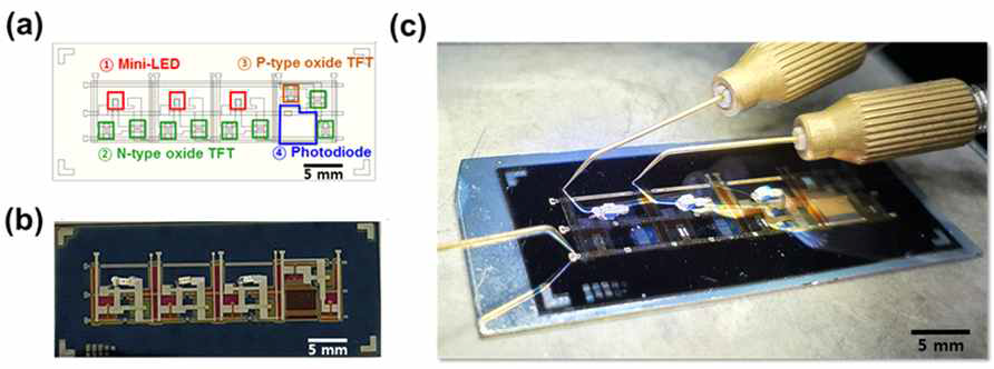 (a) 1 × 4 RGBS 픽셀 어레이 설계 도면 (b) 실제 제작 후 mini-LED를 부착한 1 × 4 RGBS 픽셀 어레이 (c) 1 × 4 RGBS 픽셀 어레이 측정