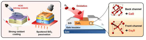 선택적 산화 및 상전이를 통한 후면 채널 특성 제어 연구