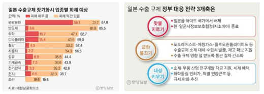 일본 수출규제로 인한 피해 유추 자료 및 정부 대응 전략