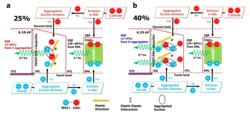 25%와 40%의 전기적 다이폴 모멘트의 정렬과 효율 증폭 메커니즘 모식도