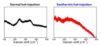 유도발열반응을 통한 합성법으로 합성된 양자점의 Raman spectroscopy (구조특성)