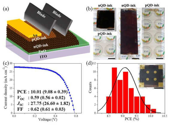 닥터블레이드 공정을 이용한 양자점 태양전지 소자의 구조 및 성능분석 결과