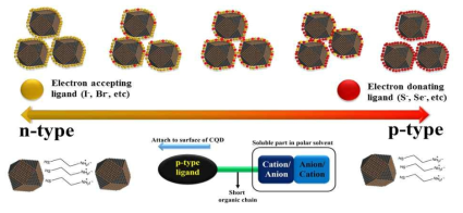 리간드에 따른 양자점의 에너지 준위 및 반도체 물성에 미치는 영향의 모식도