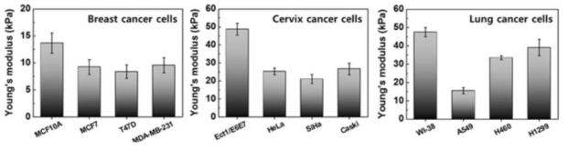 유방암계열, 자궁경부암계열, 폐암계열 암세포들에 대한 탄성 비교